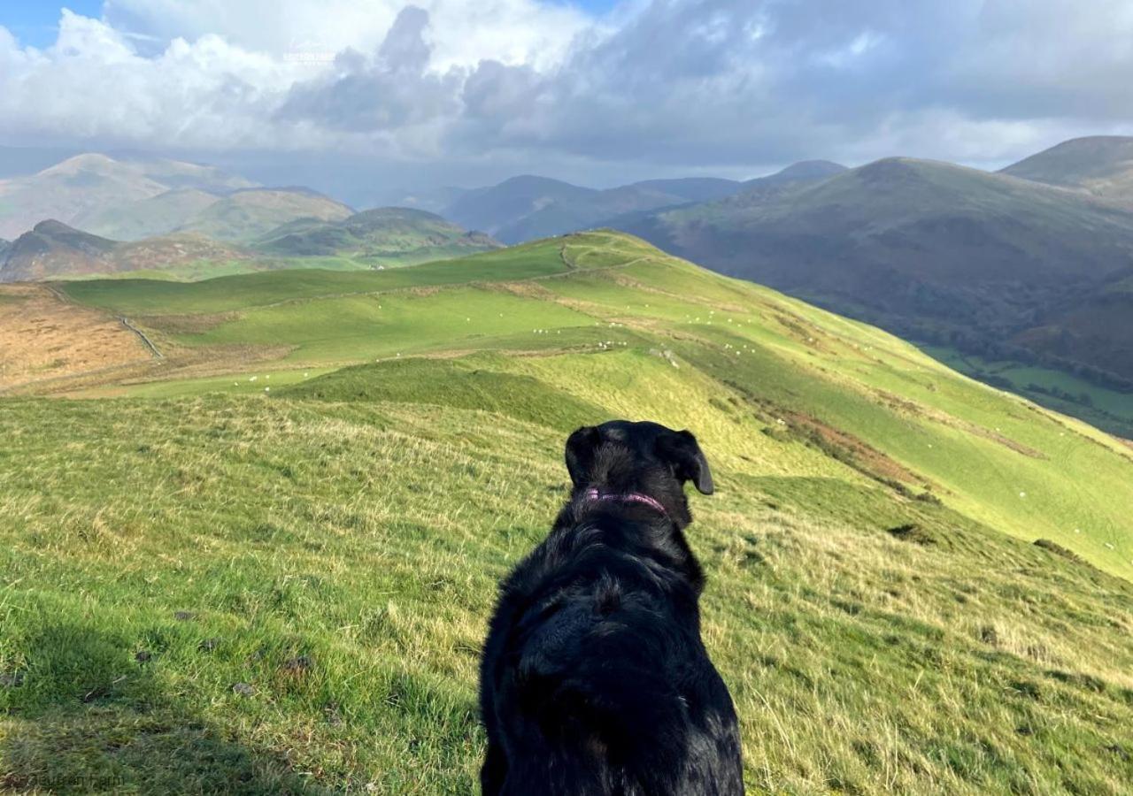 Farmhouse & Cottage At Geufron Farm - Dog Friendly Bryn-crug Exteriér fotografie
