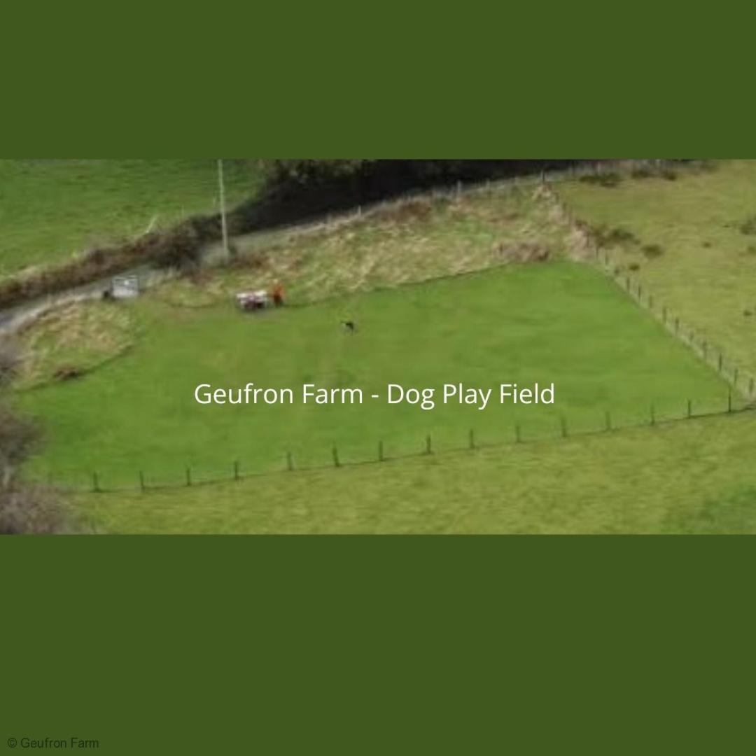 Farmhouse & Cottage At Geufron Farm - Dog Friendly Bryn-crug Exteriér fotografie